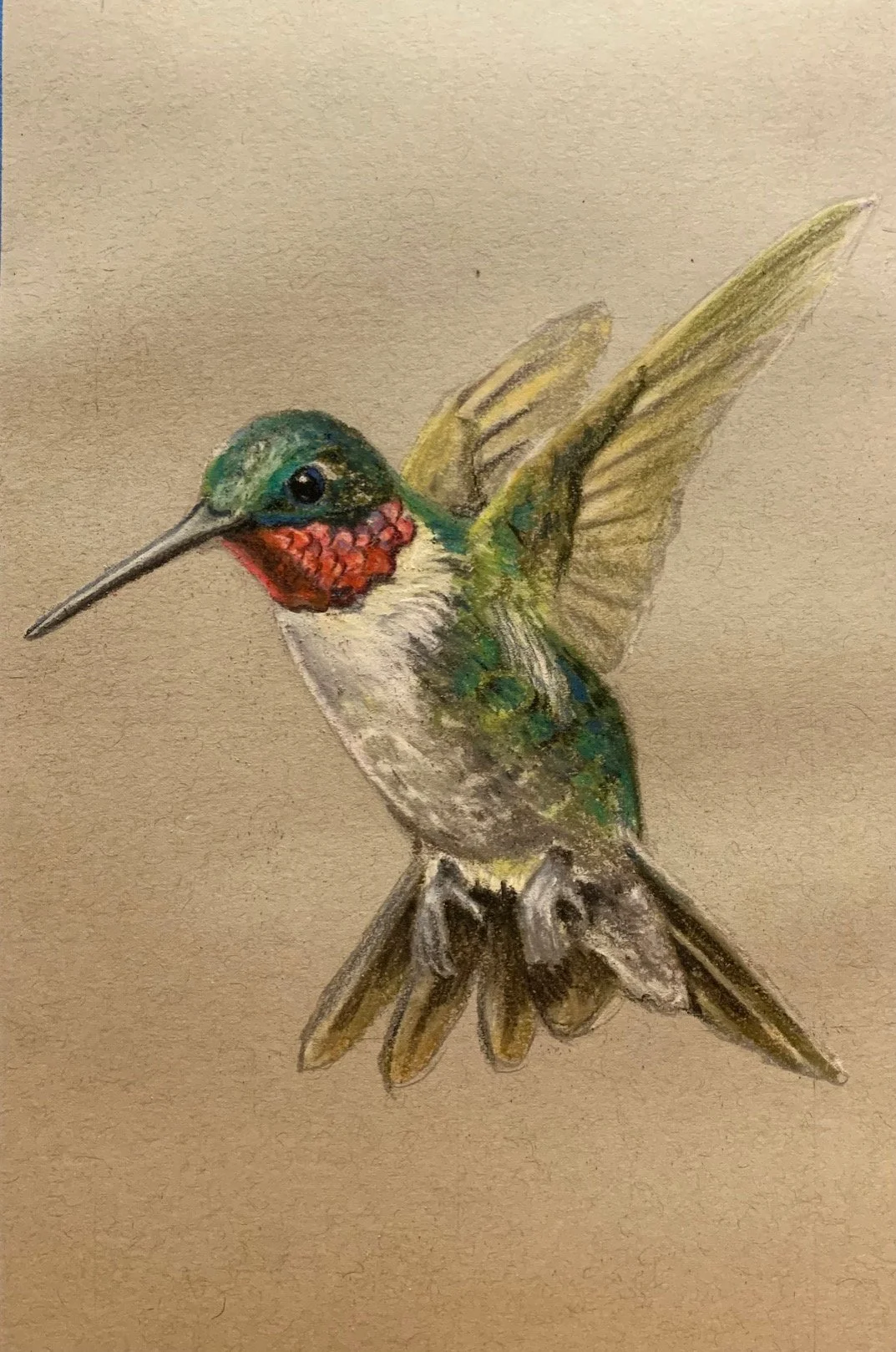 Ruby-Throated Hummingbird- Male — Robert Heinrich Art